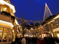 thumb goran assner-liseberg -1584